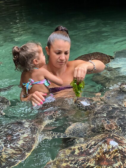 A woman and a child feeding turtles in clear water. 5