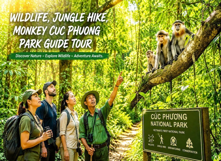 A group of people on a jungle hike in Cúc Phương National Park, with monkeys on a tree branch and a sign indicating activities like wildlife, jungle hiking, birdwatching, and conservation. 1