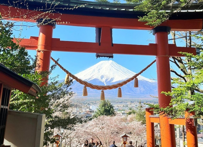 A red torii gate with a rope and lanterns, overlooking a snow-capped mountain and cherry blossoms. 1