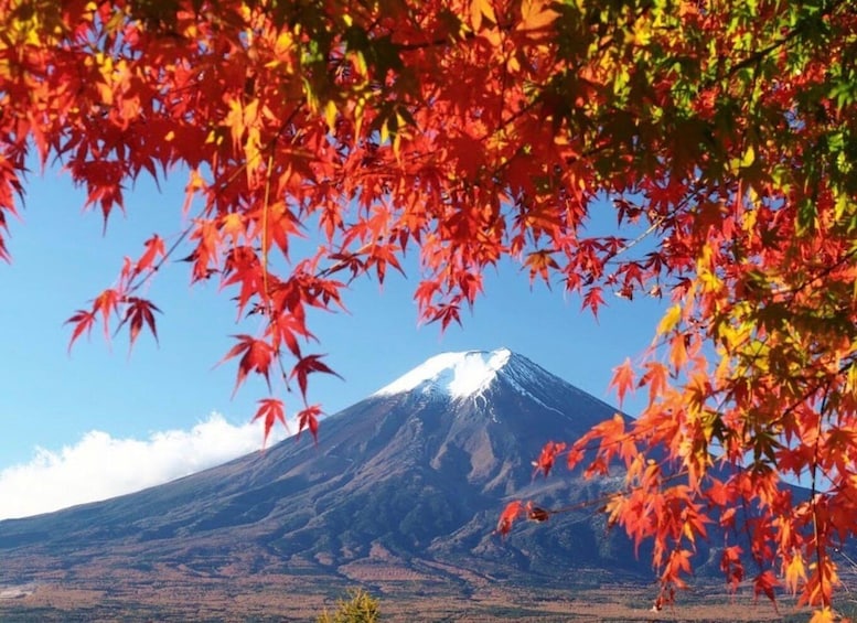 Picture 38 for Activity Tokyo: Private Mount Fuji Tour With Pickup and Drop-Off 5