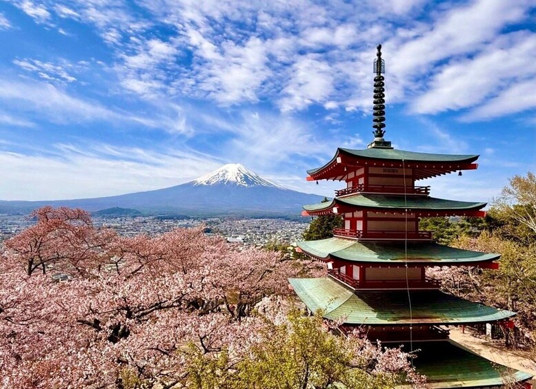 A pagoda, cherry blossoms, and Mount Fuji in the background. 2