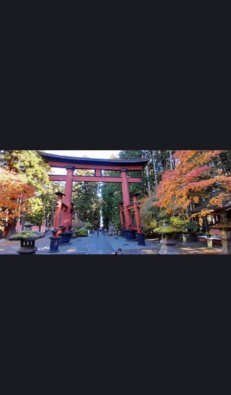 A traditional Japanese torii gate in a park with autumn foliage. 3