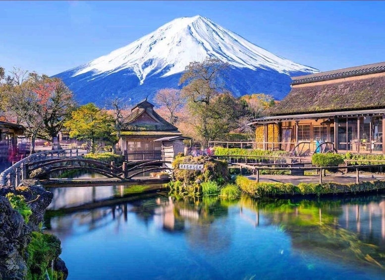 Picture 27 for Activity Tokyo: Private Mount Fuji Tour With Pickup and Drop-Off 3