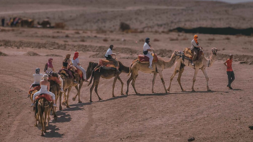 Picture 12 for Activity Marrakech: Agafay Desert Sunset Camel Ride, Quad & Dinner 5