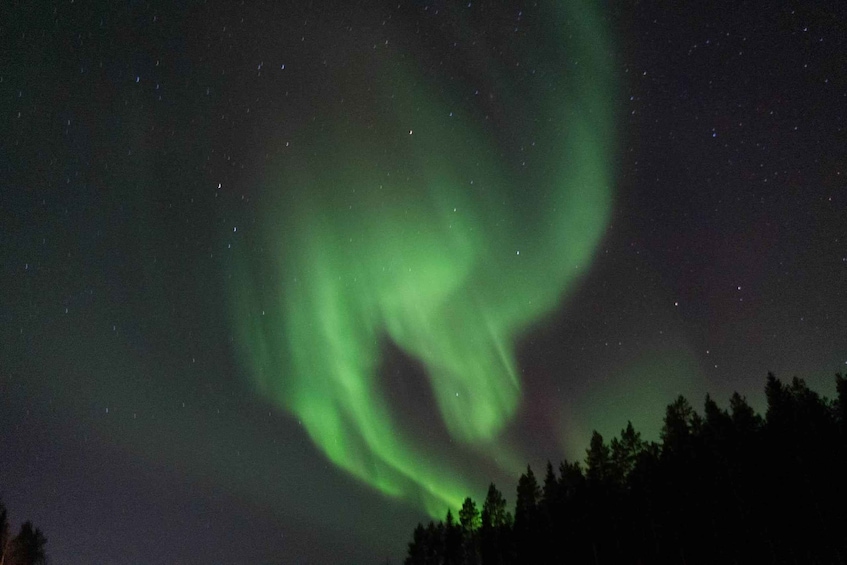 The Northern Lights (Aurora Borealis) over a forested area. 2