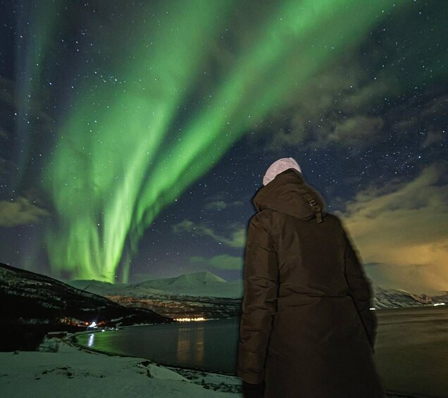 A person standing by a lake under a night sky with green aurora borealis. 5