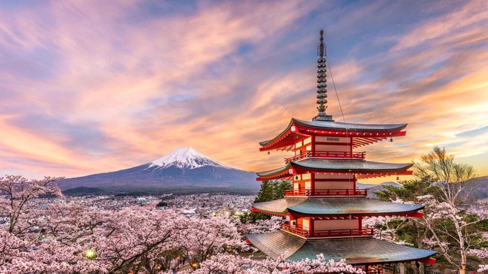 A pagoda with a snow-capped mountain in the background. 4