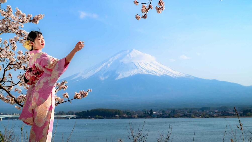 A person in a pink kimono standing by a cherry blossom tree with Mount Fuji in the background. 1
