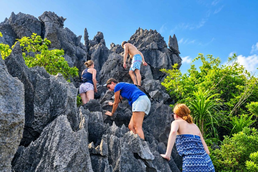 People climbing rocky terrain with lush greenery in the background. 5