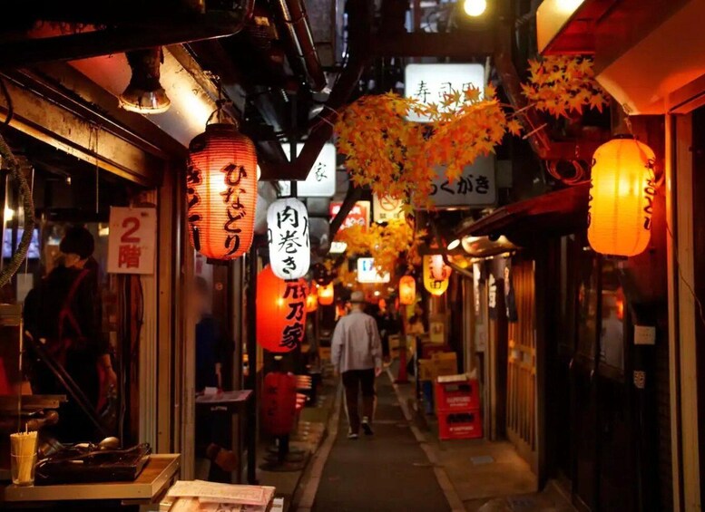 A narrow street with traditional lanterns and signs in a foreign language. 2