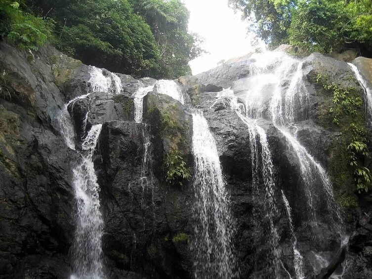 A waterfall cascading over dark rocks surrounded by lush greenery. 1