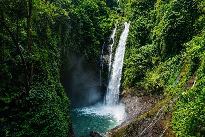 Picture 10 for Activity Bali: Full Day North Bali Private Customized Tour 3