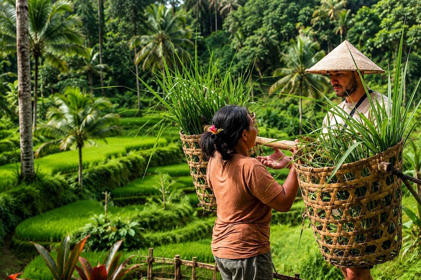 Bali: Full Day North Bali Private Customized Tour 1