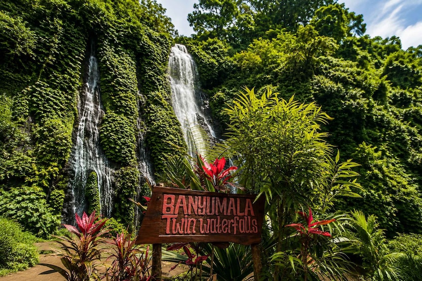 Picture 24 for Activity Bali: Full Day North Bali Private Customized Tour 2