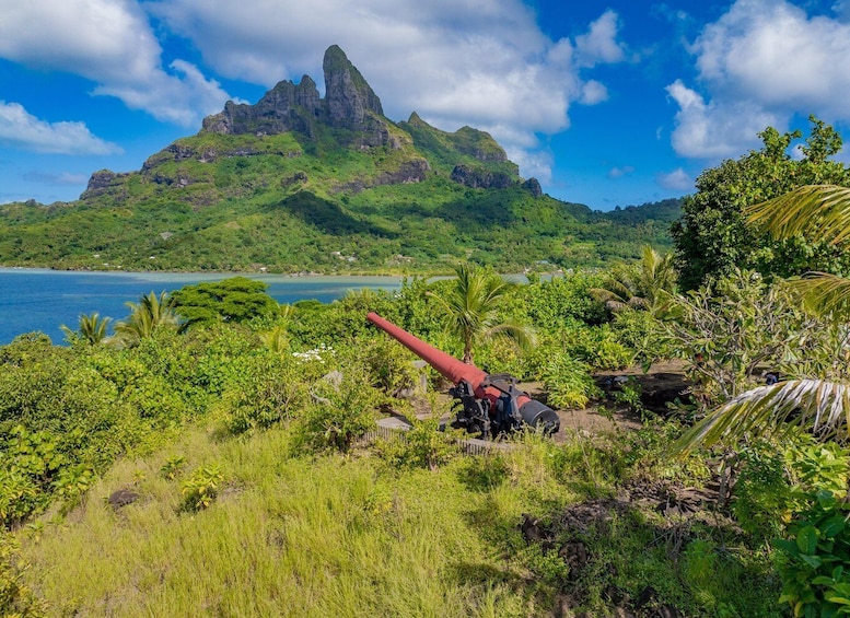 A lush green landscape with a prominent mountain and a red cannon in the foreground. 3