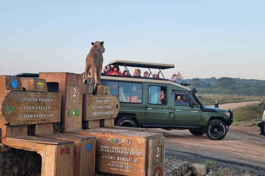 Nairobi: Nairobi National Park Safari with Guide 1