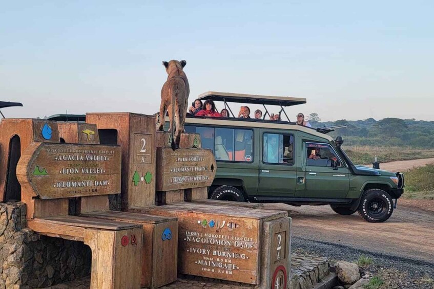 Picture 5 for Activity Nairobi: Nairobi National Park Safari with Guide 5