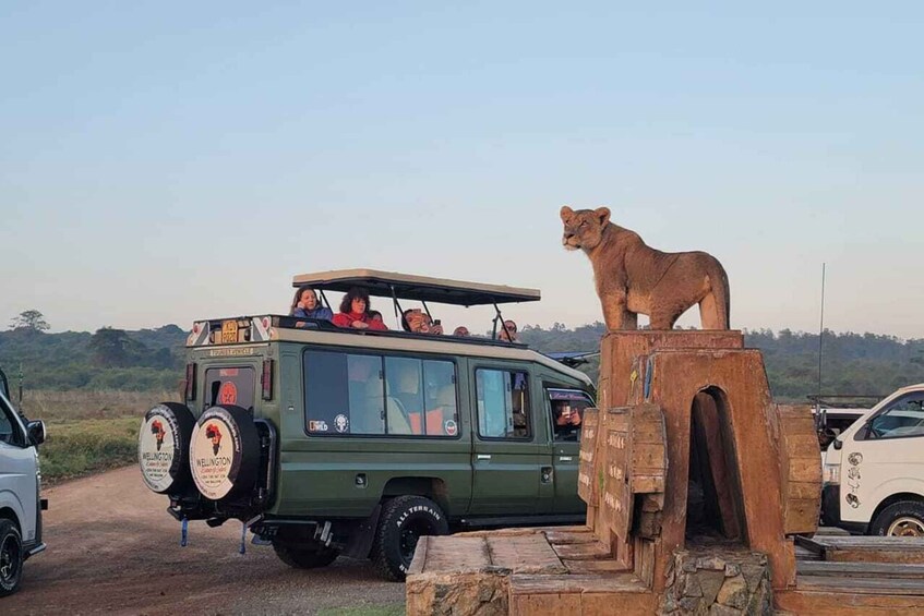 Picture 7 for Activity Nairobi: Nairobi National Park Safari with Guide 3