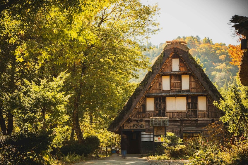 A traditional thatched-roof house surrounded by lush greenery. 1