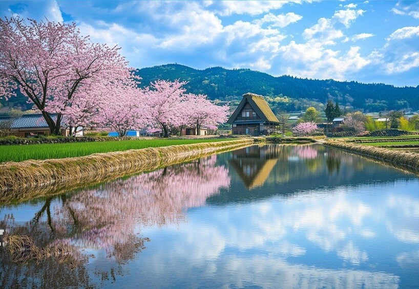 Picture 4 for Activity Nagoya: Shirakawa-go & Hida Takayama Old Streets Day Tour 2