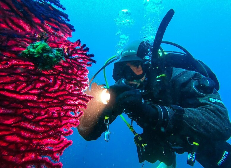 Picture 4 for Activity Novalja: Your First SCUBA Dive Ever 4