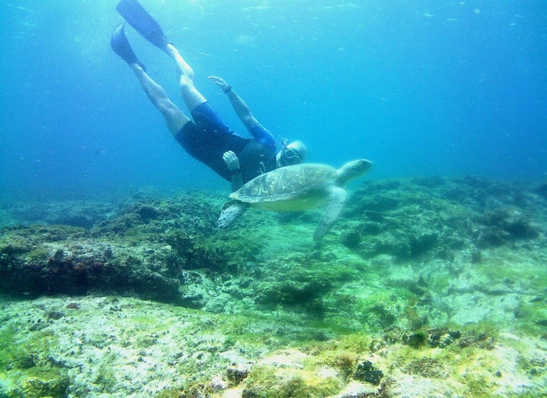 Picture 1 for Activity Santa Maria: Snorkeling Boat Tour 3