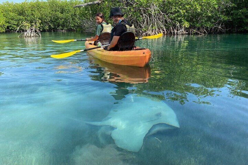 Kayak adventure through Laguna Nichupté in Cancun 3