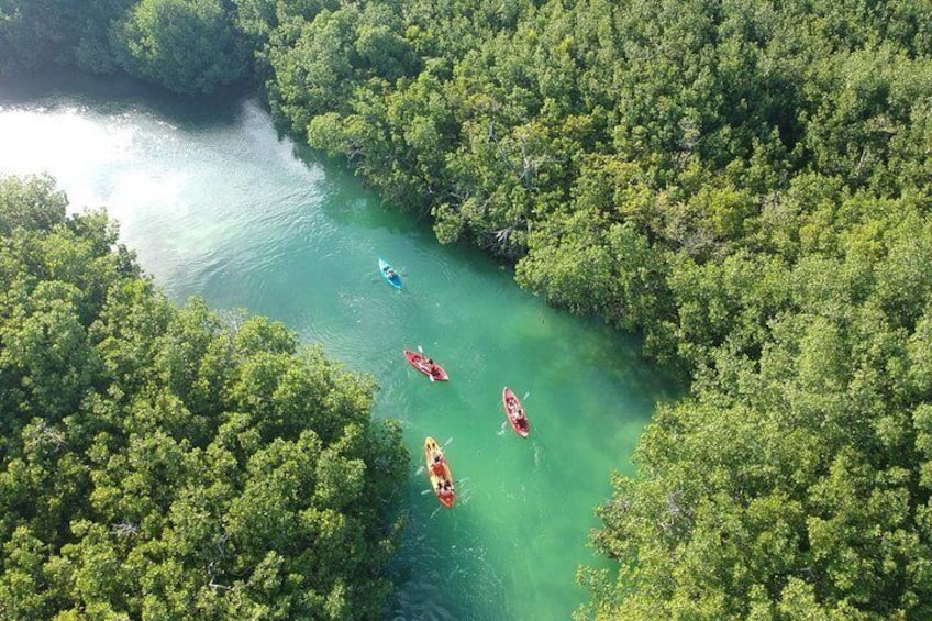 Kayak adventure through Laguna Nichupté in Cancun 1