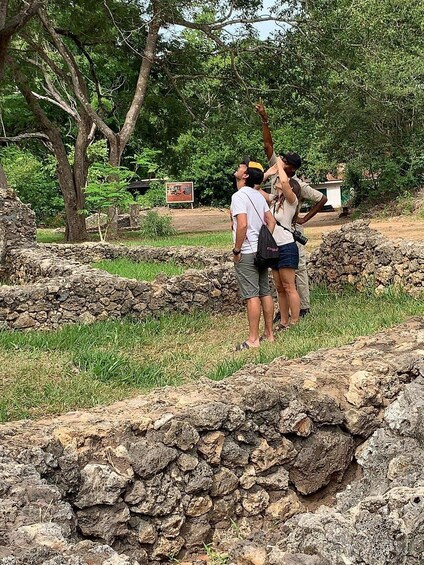 A group of people standing on a grassy area with stone walls and trees in the background. 2