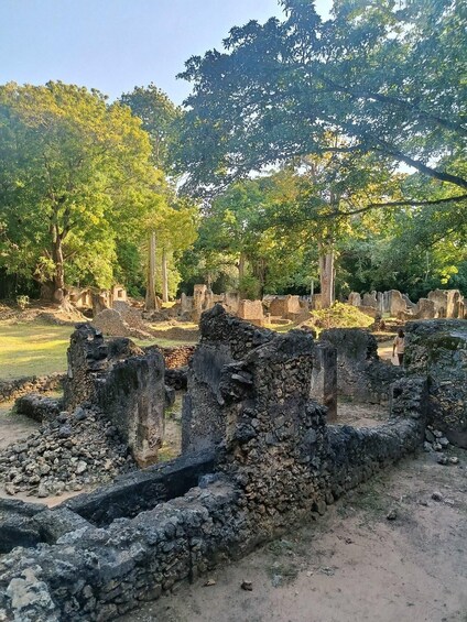 Ancient stone ruins with overgrown vegetation, surrounded by trees and open grassy areas. 4