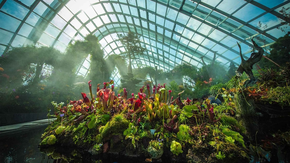A greenhouse with a glass ceiling, various plants, and a person tending to the plants. 5