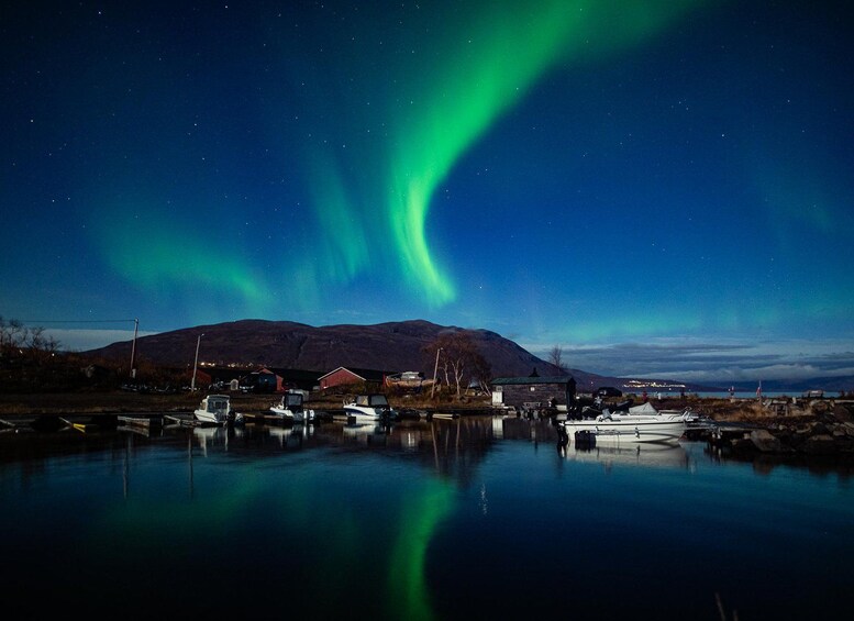 Picture 7 for Activity Kiruna: Aurora Tour with Professional Digital Photos 4