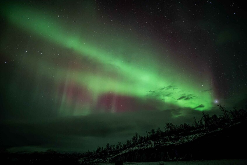 The Northern Lights over a snowy landscape at night. 3
