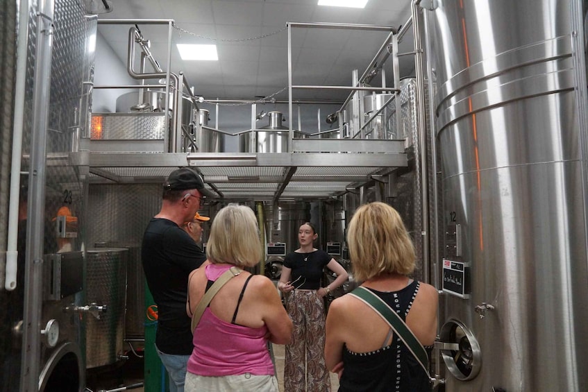 Picture 2 for Activity Champagne Cellar Experience: Explore our historic cellars 2