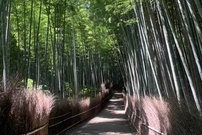 Picture 2 for Activity Otagi Nenbutsu-ji & Arashiyama Bamboo Forest Walking Tour 2