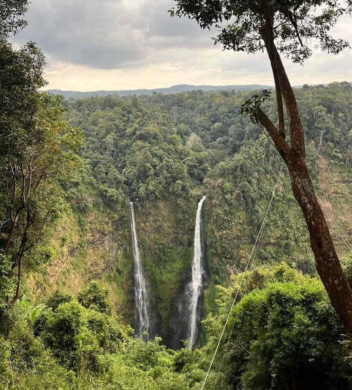 Picture 3 for Activity Pakse: Mystic Falls & Timeless Temples of Southern Laos Tour 2