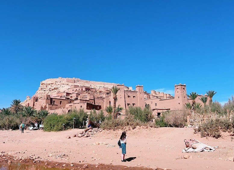 Picture 19 for Activity From Marrakech: Ait ben Haddou & Ouarzazate Full Day trip 3