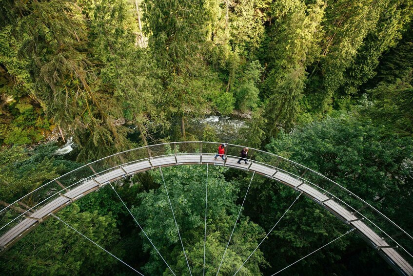 Suspended at Capilano Bridge A 7-Stop Halloween Private Tour 1