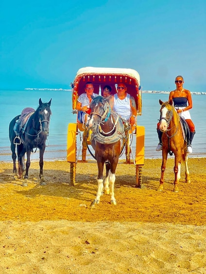 Picture 3 for Activity Hurghada: Desert & Sea Horse Riding Tour w/Optional Swimming 2