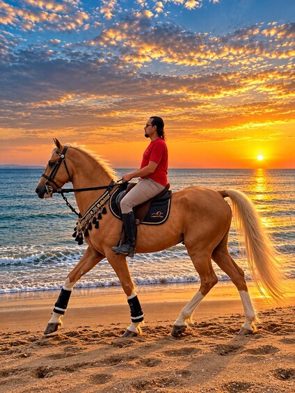 Picture 2 for Activity Hurghada: Desert & Sea Horse Riding Tour w/Optional Swimming 4
