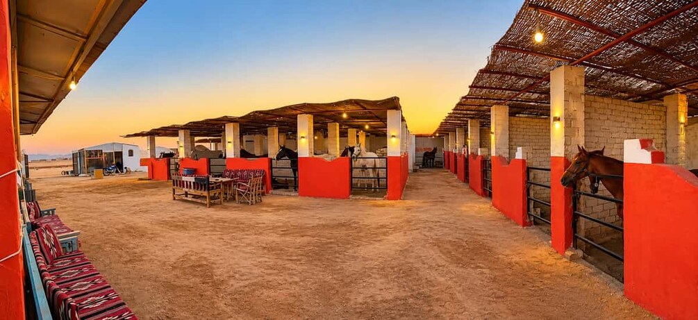 Picture 8 for Activity Hurghada: Desert & Sea Horse Riding Tour w/Optional Swimming 3