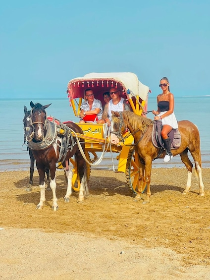 Picture 5 for Activity Hurghada: Desert & Sea Horse Riding Tour w/Optional Swimming 3