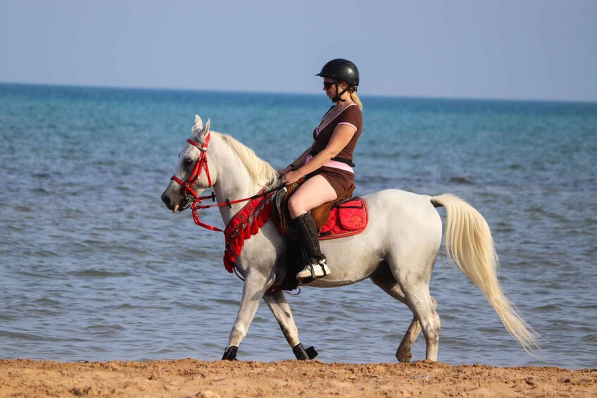 Picture 46 for Activity Hurghada: Desert & Sea Horse Riding Tour w/Optional Swimming 5
