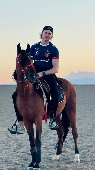 Eine Person reitet ein Pferd am Strand, im Hintergrund sind Berge zu sehen. 3