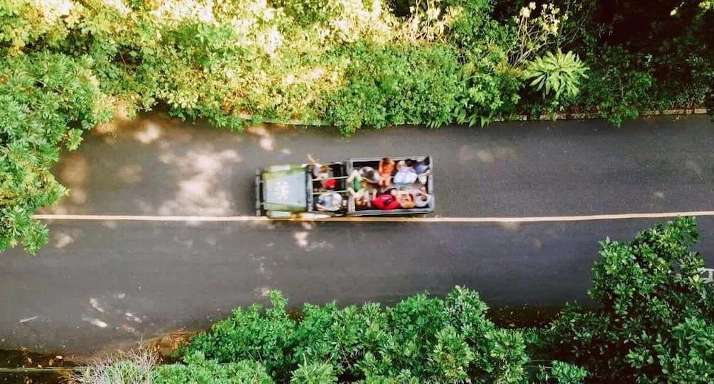 A road with dense greenery on both sides, a vehicle with passengers, and a clear sky. 1