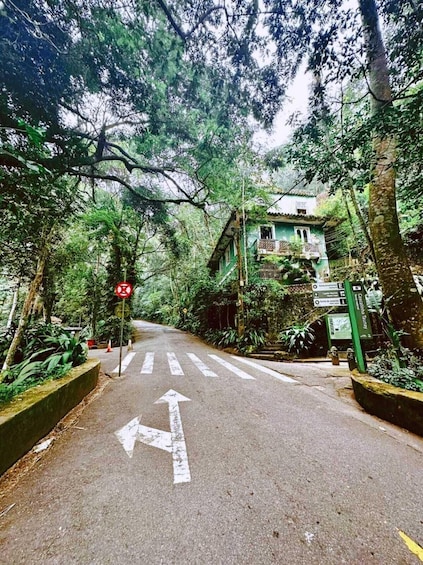 A road with a pedestrian crossing, a building with a green roof, and dense forest. 4