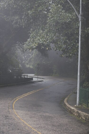 Picture 32 for Activity Rio de Janeiro: Jeep Tour in the Tijuca Forest 3