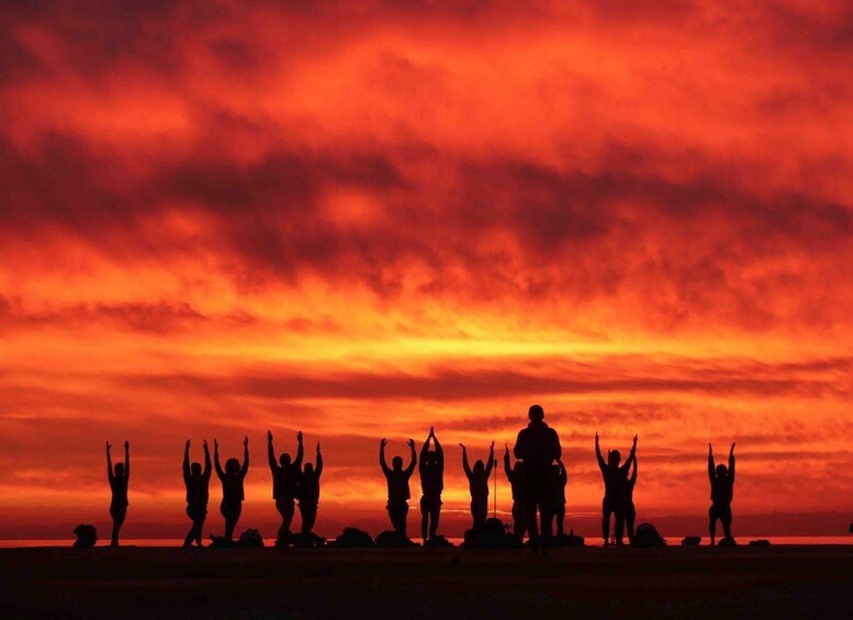 A group of people silhouetted against a sunset with their arms raised. 3