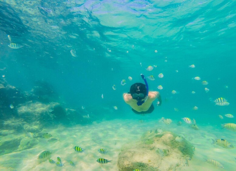 Picture 37 for Activity Ao Nang: Premium 4 Islands Snorkeling Tour by Speedboat 4