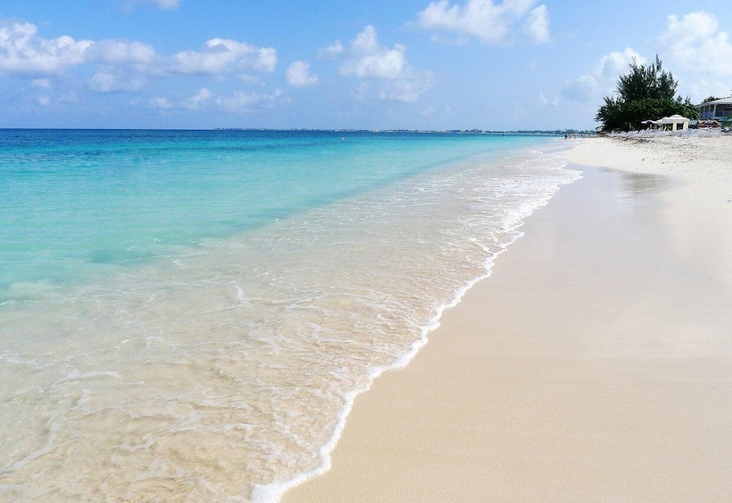 A beach with clear turquoise water, white sand, and a few trees on the shore. 1